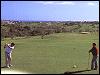 Boavista Golf Course Picture 4