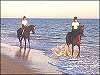 Algarve Riding on the Beach